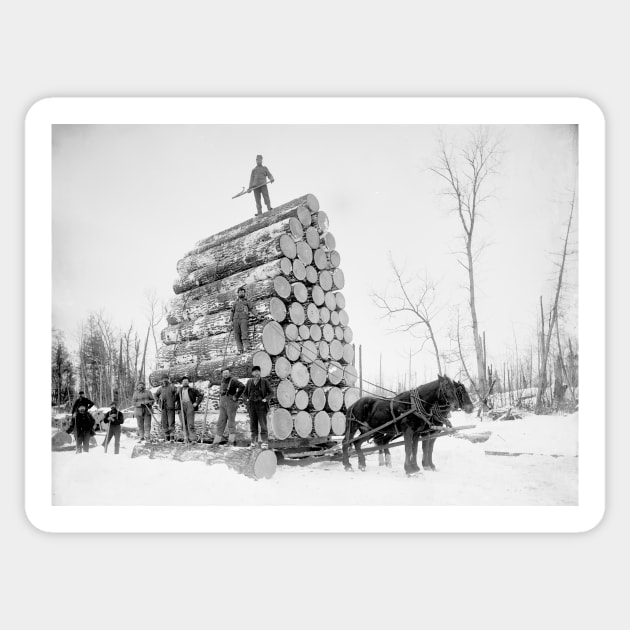 Timber logging, late 19th century (C030/1163) Sticker by SciencePhoto